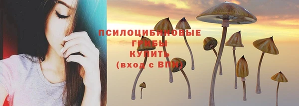 спиды Михайловка