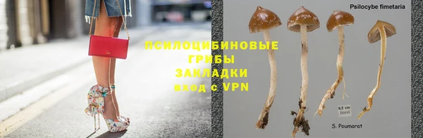 первитин Михайлов