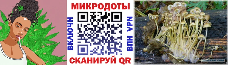Псилоцибиновые грибы прущие грибы  Находка 